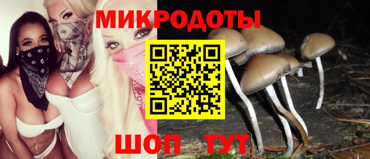 Псилоцибиновые грибы мухоморы Похвистнево
