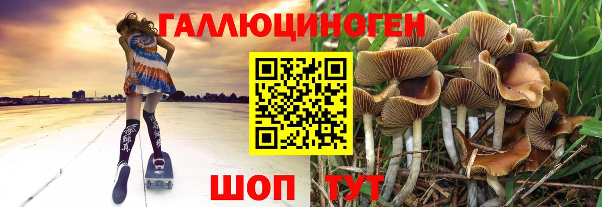 Похвистнево  Псилоцибиновые грибы Cubensis  Вход с VPN  Псилоцибиновые грибы Cubensis 